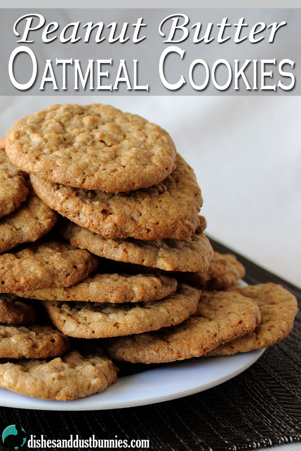 Peanut Butter Oatmeal Cookies - Dishes and Dust Bunnies
