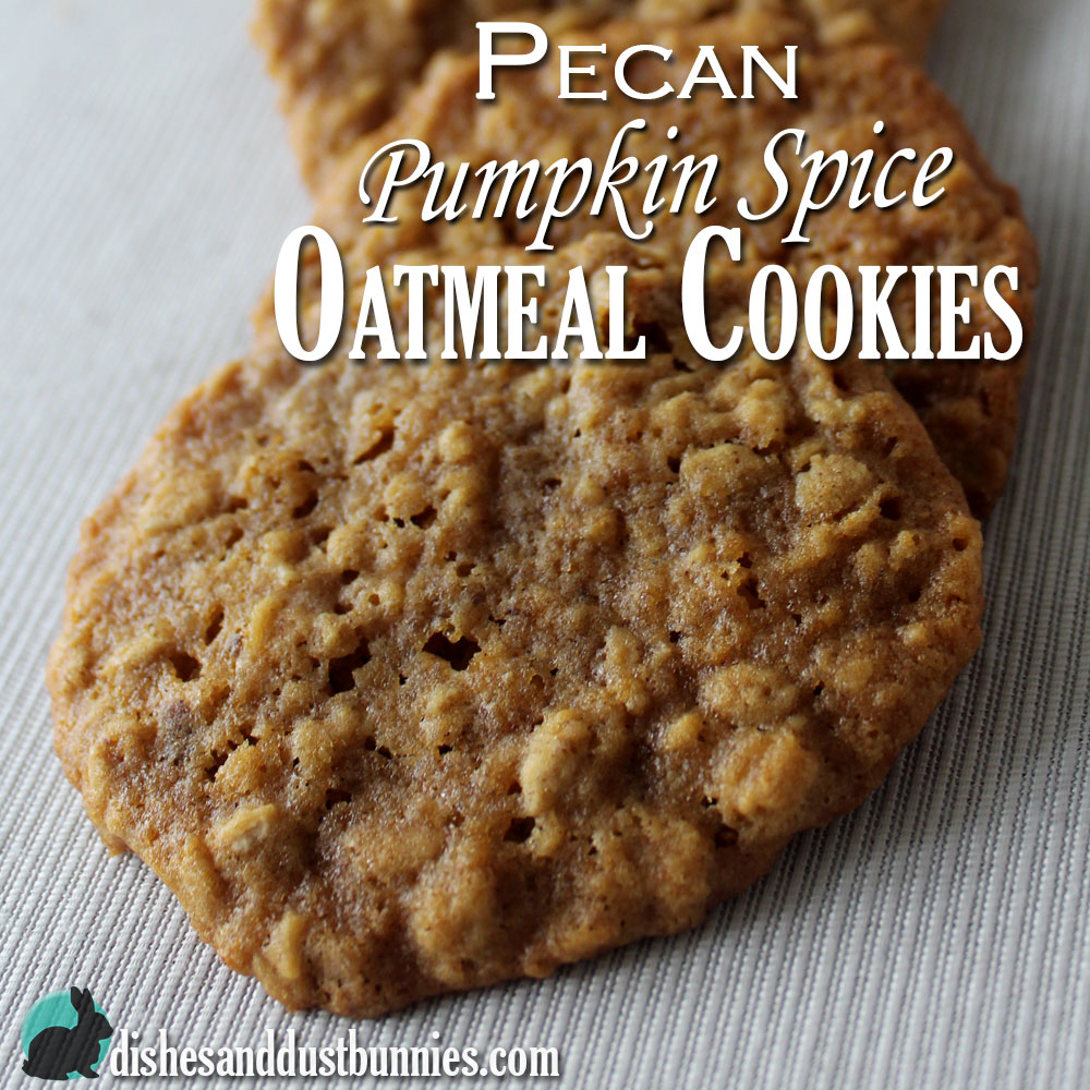 Pecan Pumpkin Spice Oatmeal Cookies from Dishes & Dust Bunnies
