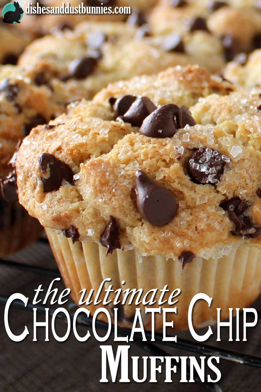 The Ultimate Chocolate Chip Muffins