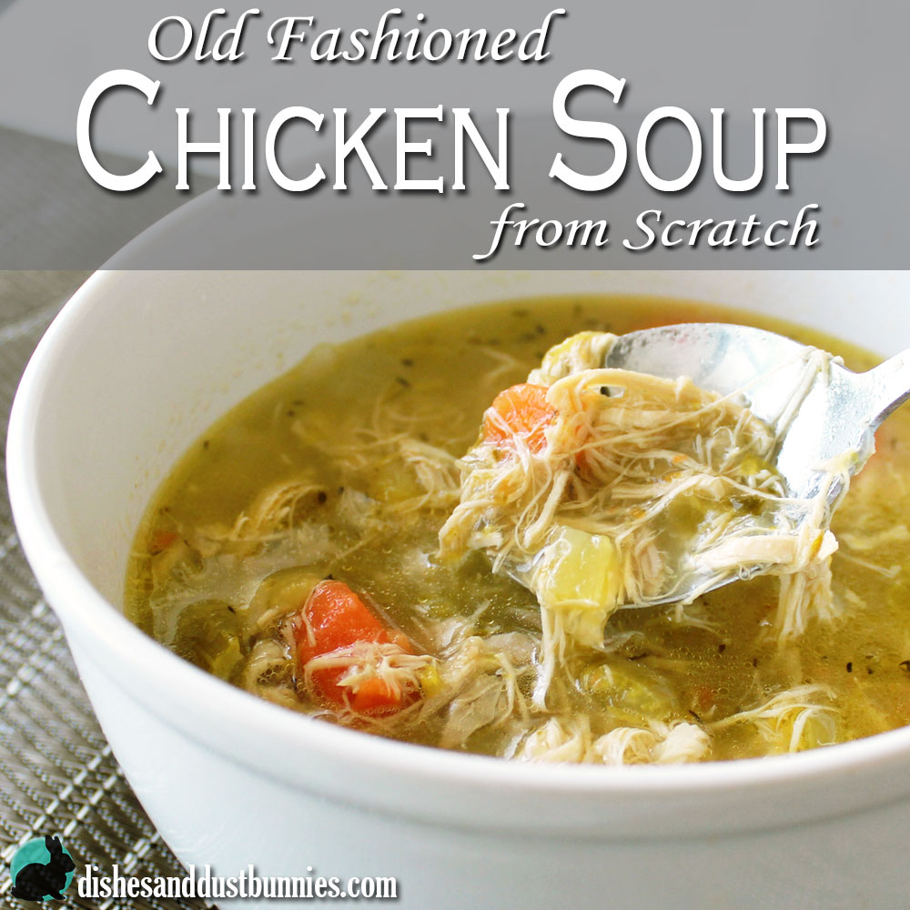 Old Fashioned Chicken Soup from Scratch (using a Whole Chicken) - Dishes &  Dust Bunnies