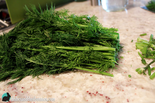 Try this trick to Make Fresh Herbs Last Longer