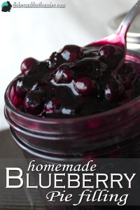 Blueberry Pie Filling - Dishes & Dust Bunnies
