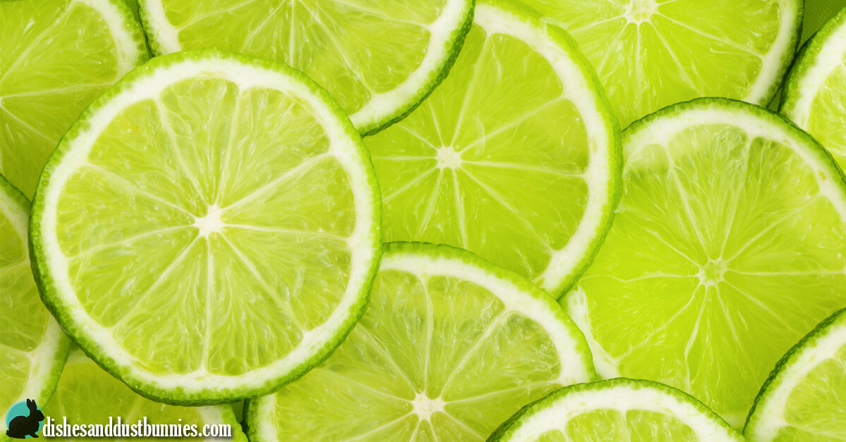 Can you Freeze Limes? - Dishes & Dust Bunnies