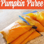 Make Your Own Pumpkin Puree from dishesanddustbunnies.com