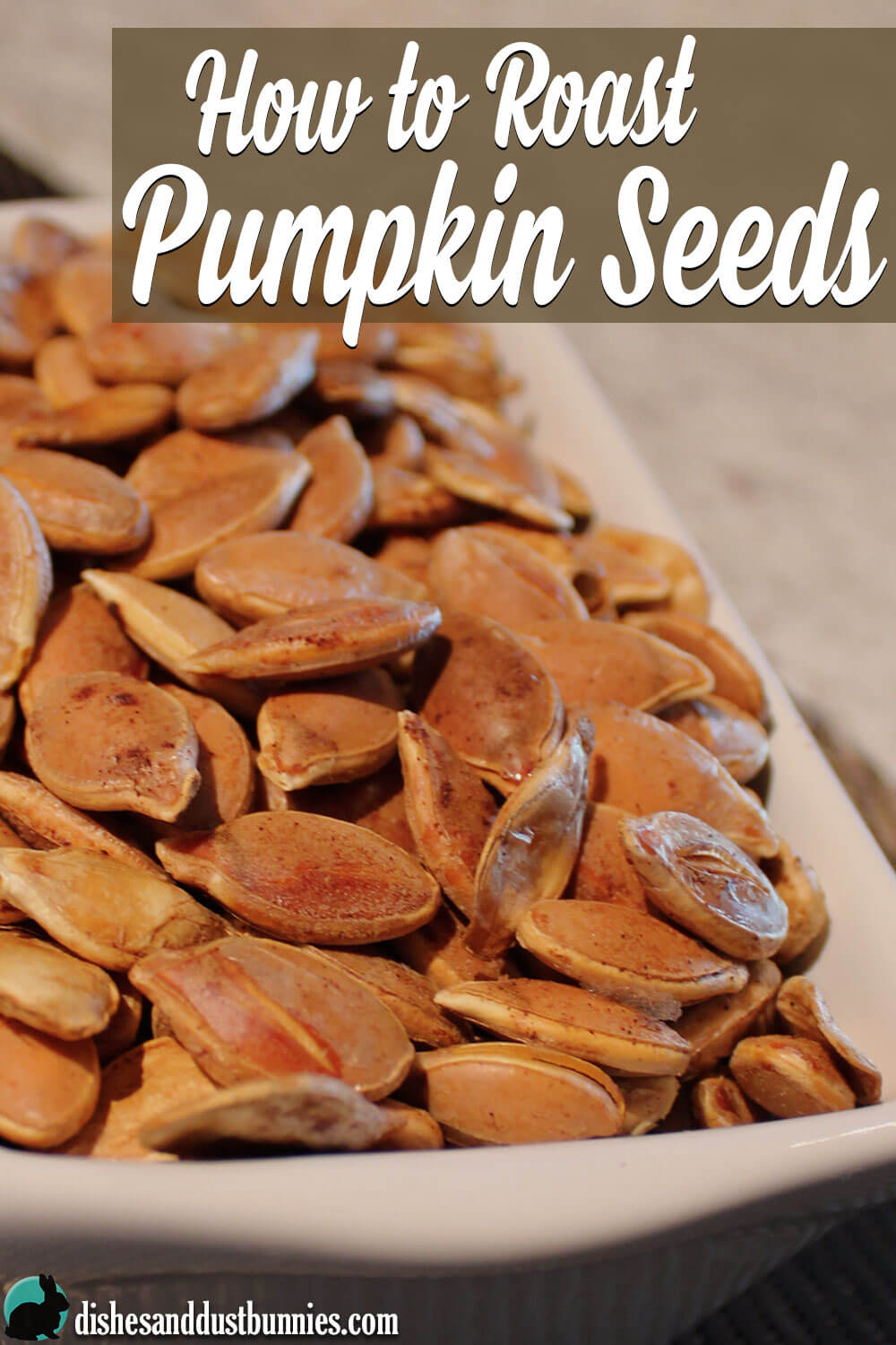 How to Roast Pumpkin Seeds - Dishes &amp; Dust Bunnies