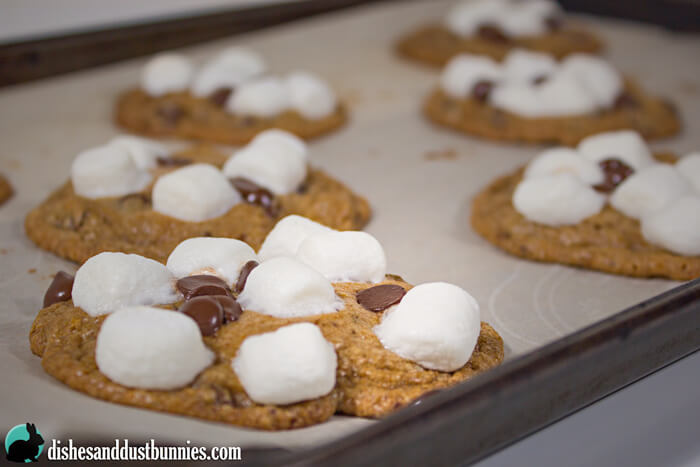 S'mores Cookies from dishesanddustbunnies.com