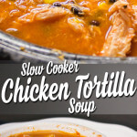 Slow Cooker Chicken Tortilla Soup from dishesanddustbunnies.com