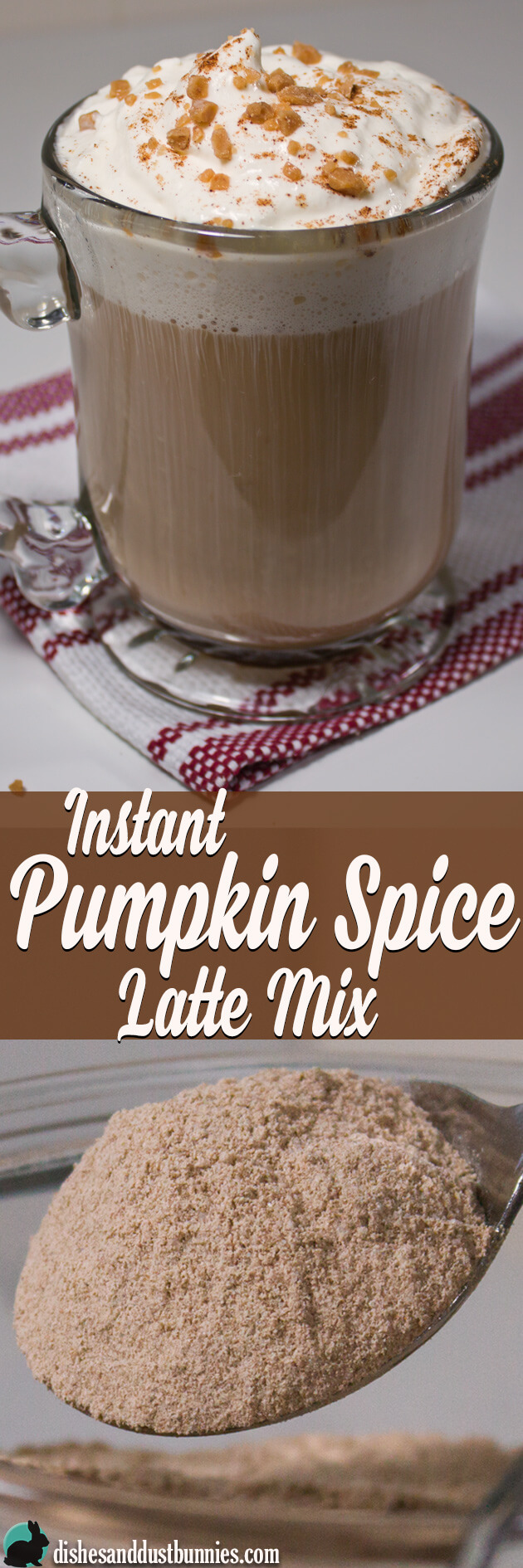 Homemade DIY Instant Pumpkin Spice Latte Mix from dishesanddustbunnies.com