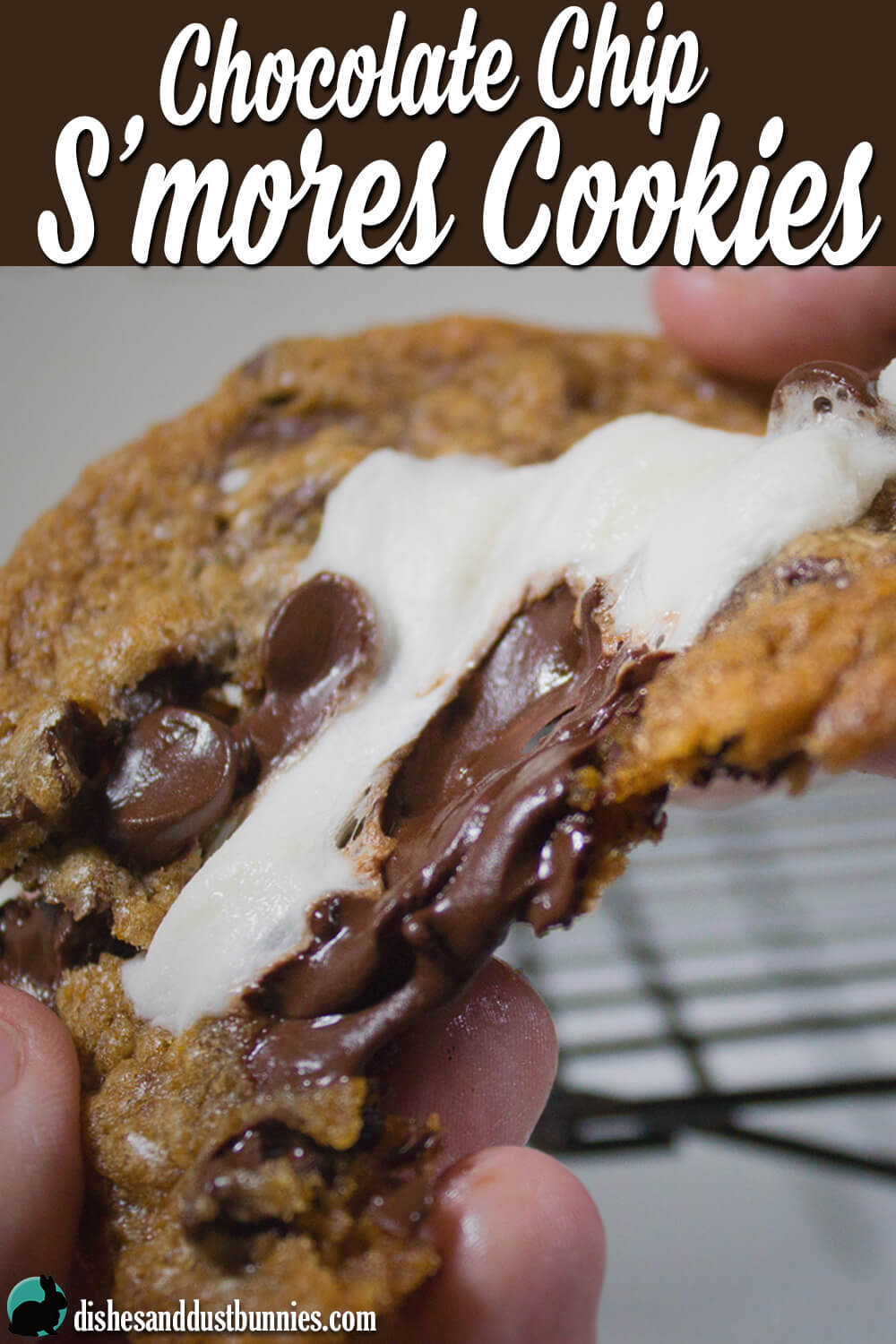Chocolate Chip S'mores Cookies from dishesanddustbunnies.com