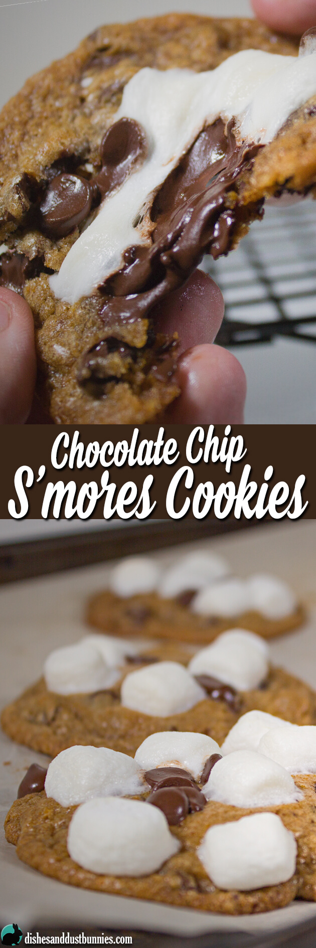 Chocolate Chip S'mores Cookies from dishesanddustbunnies.com