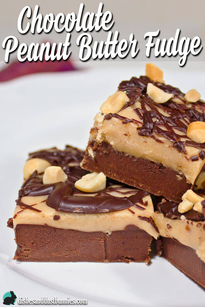 Chocolate Peanut Butter Fudge from dishesanddustbunnies.com