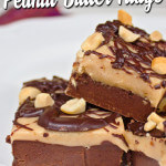 Chocolate Peanut Butter Fudge from dishesanddustbunnies.com