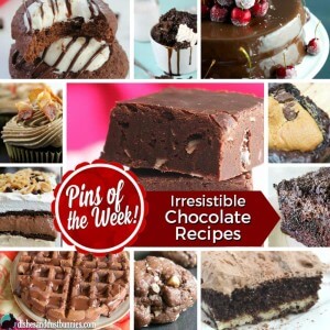 Irresistible Chocolate Recipes - Pins of the Week! from dishesanddustbunnies.com