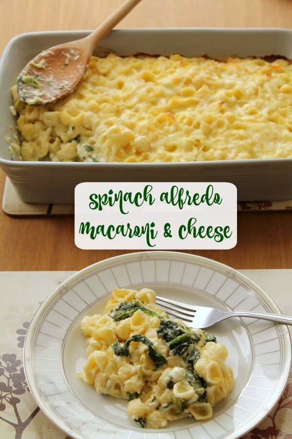 Spinach Alfredo Mac and Cheese from How to Be Awesome on $20 a Day
