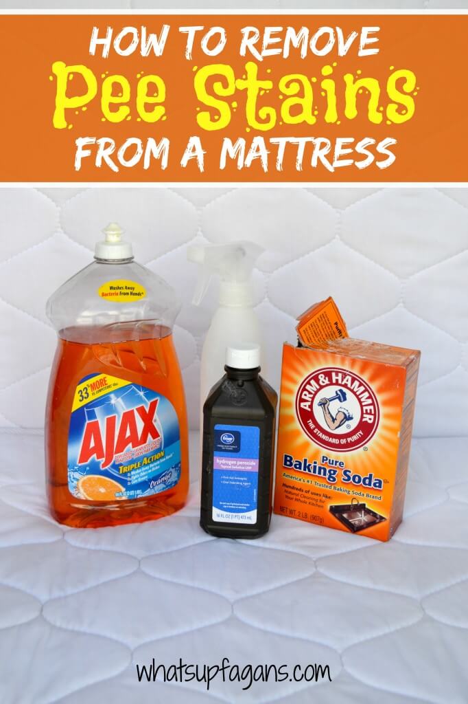 How to Easily Remove Old Pee Stain and Smell from a Mattress from What's up Fagans