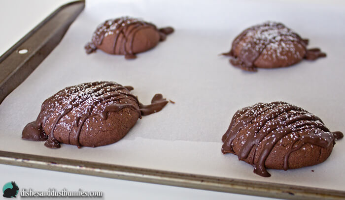 Crunchy Chocolate Cookies from dishesanddustbunnies.com