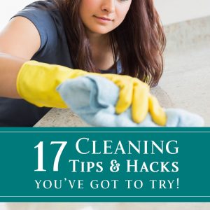 17 Cleaning Tips and Hacks You've Got to Try! from dishesanddustbunnies.com