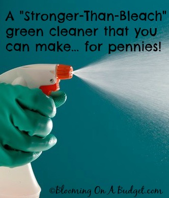 The Ultimate Stronger-Than-Bleach Green Cleaner from Blooming on a Budget