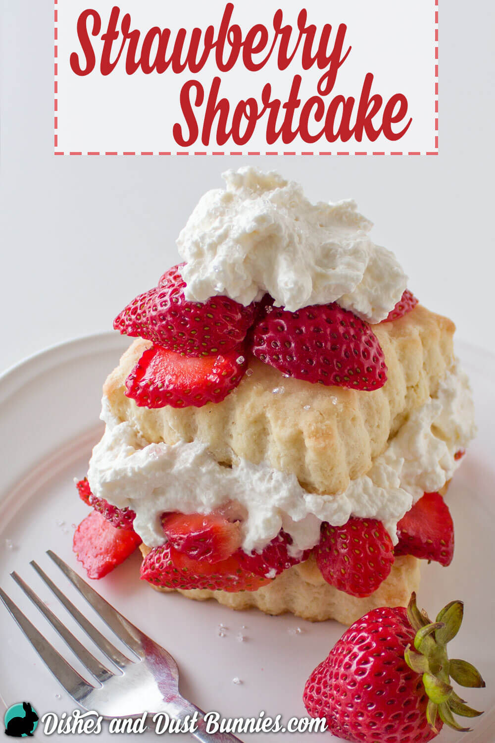 Strawberry Shortcake form dishesanddustbunnies.com