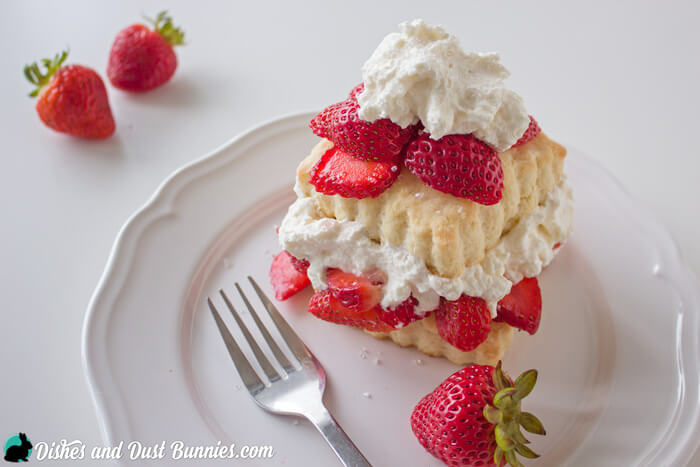Strawberry Shortcake form dishesanddustbunnies.com