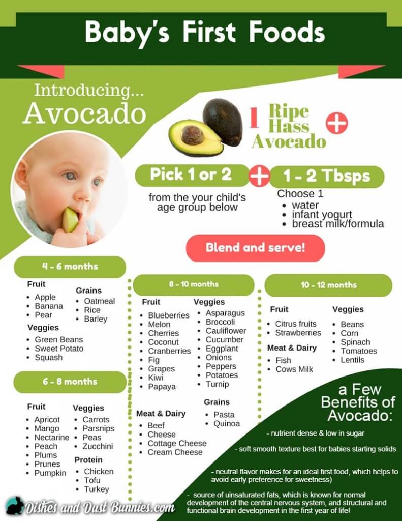 Introducing Avocados as Baby's First Food + Free Baby Food Recipe Cheat