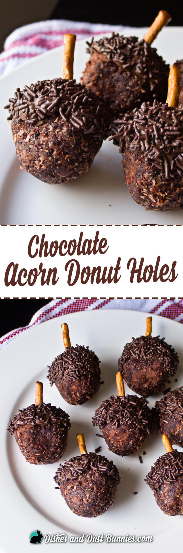Chocolate Acorn Donut Holes from dishesanddustbunnies.com