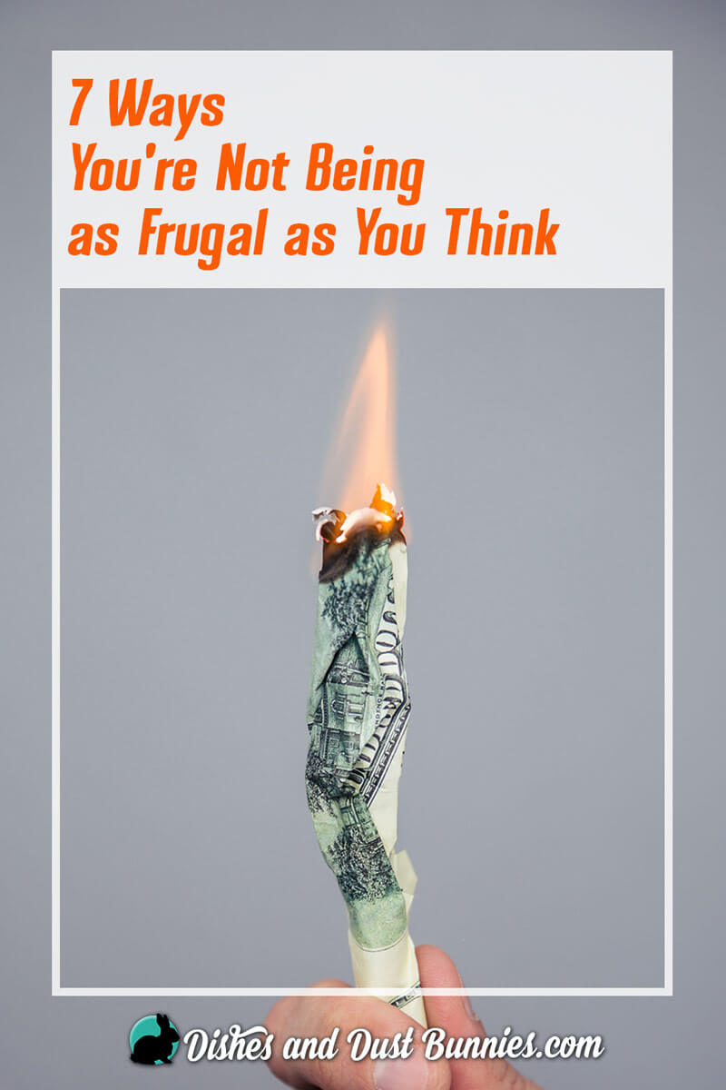 7 Ways You're Not Being as Frugal as You Think - from dishesanddustbunnies.com