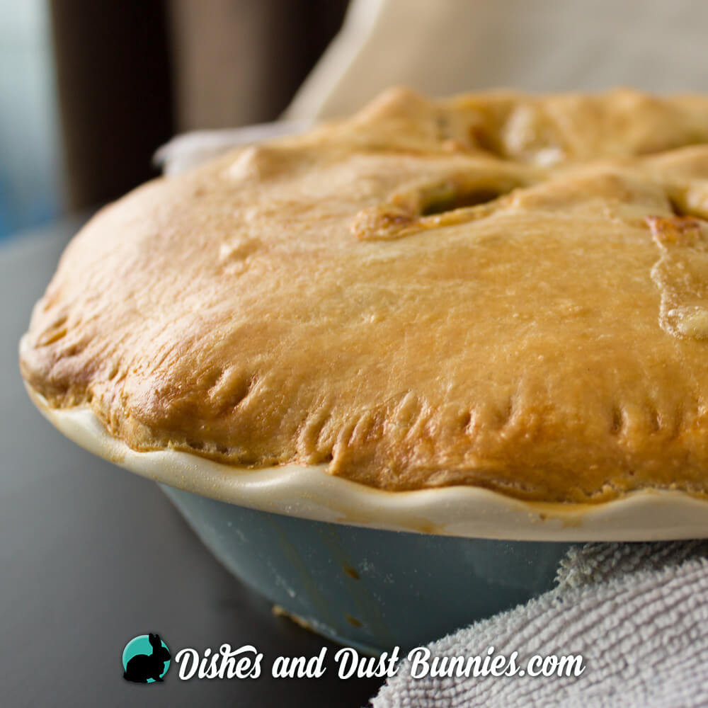 Old Fashioned Chicken Pot Pie from Dishes & Dust Bunnies
