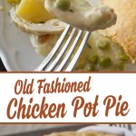 The Best Old Fashioned Chicken Pot Pie Ever! from dishesanddustbunnies.com