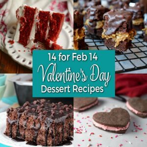 14 for Feb 14 - Valentine's Day Dessert Recipes from dishesanddustbunnies.com