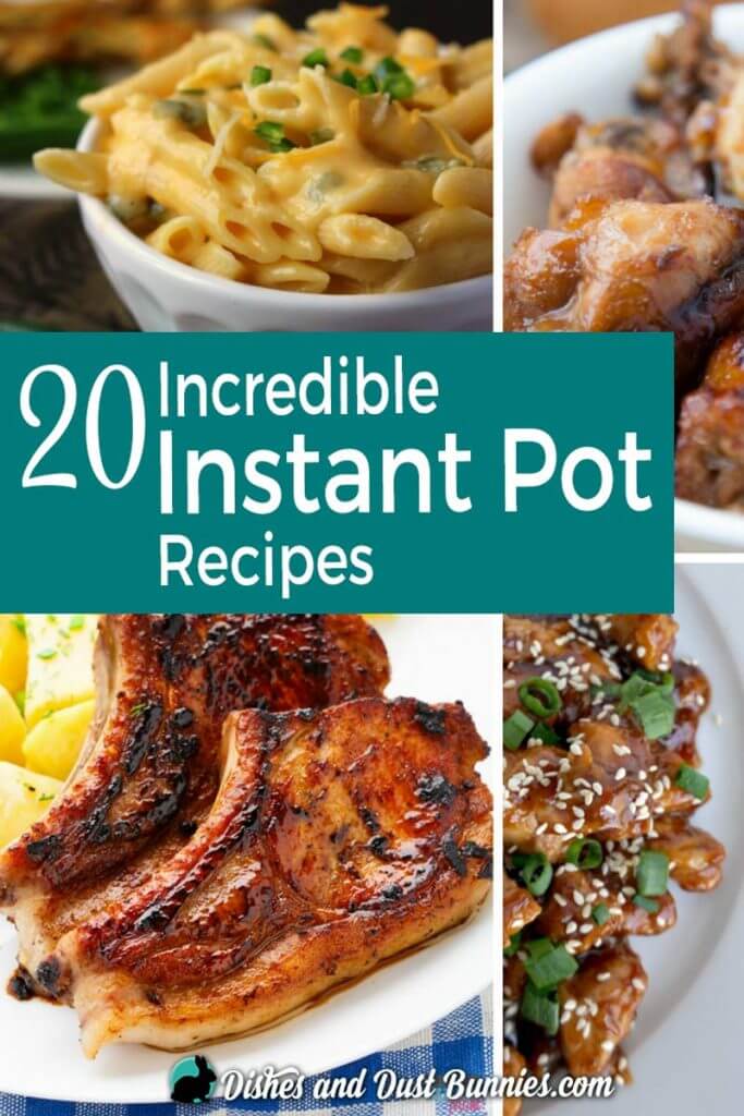 20 Incredible Instant Pot Recipes - Dishes & Dust Bunnies