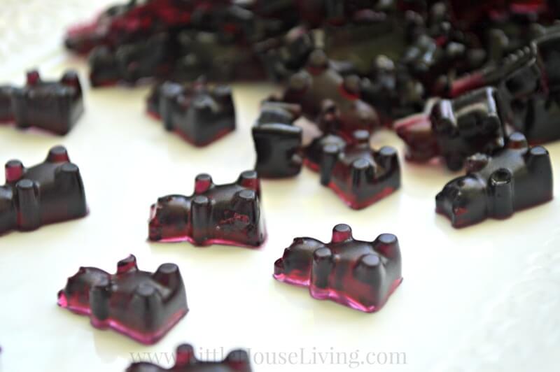 How to Make Blueberry Gummies from Little House Living