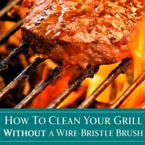 How to Clean Your Grill Without a Wire-Bristle Brush from dishesanddustbunnies.com