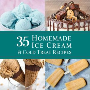 35 Homemade Ice Cream & Cold Treat Recipes - dishesanddustbunnies.com