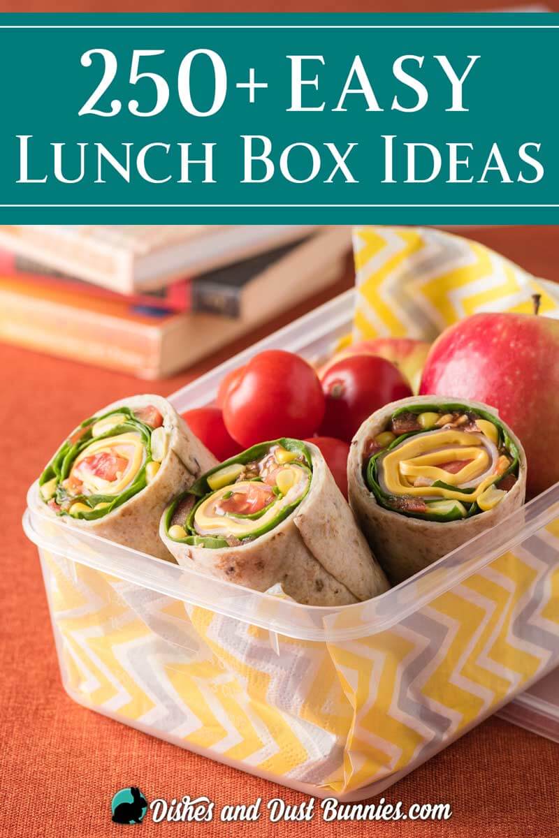 250+ School Lunch Box Ideas - dishesanddustbunnies.com