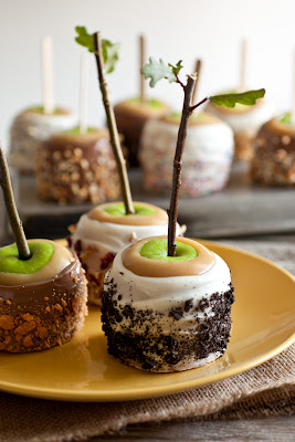 Ultimate Caramel Apples from Cooking Classy