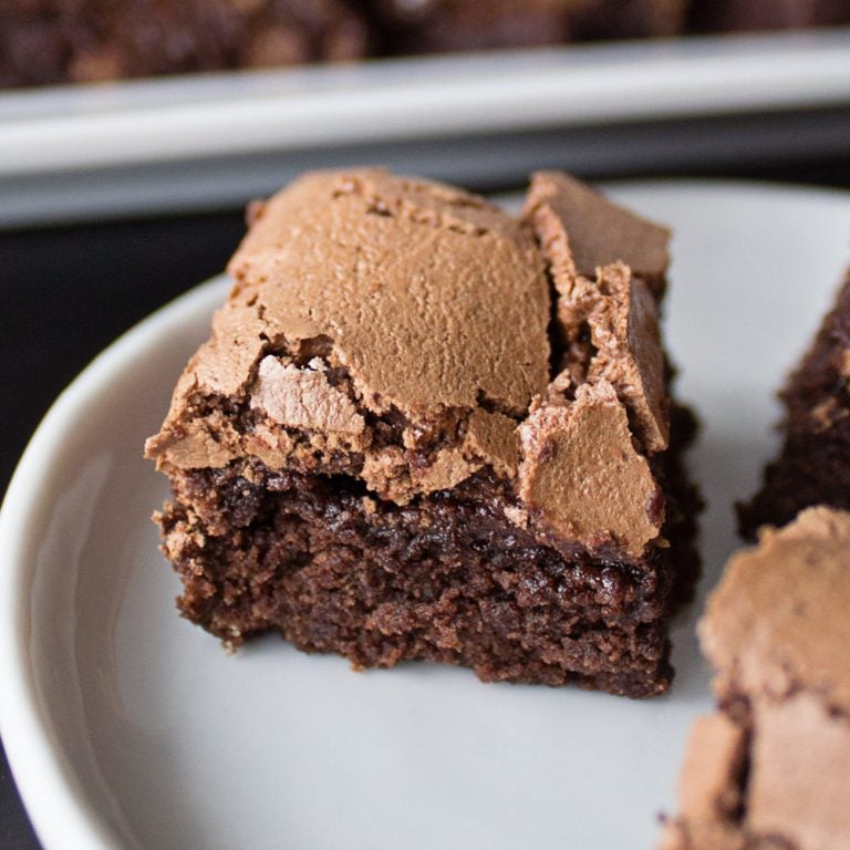 Chocolate Crackle Bars from dishesanddustbunnies.com