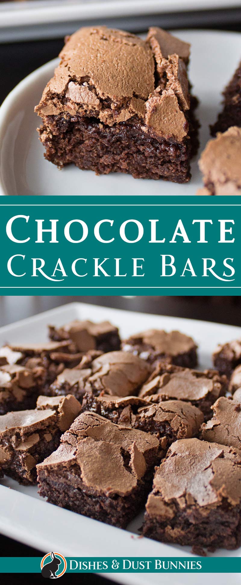 Chocolate Crackle Bars from dishesanddustbunnies.com