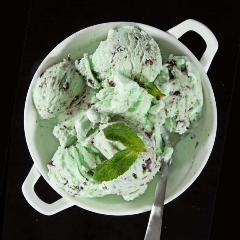 Mint Chocolate Chip Ice Cream