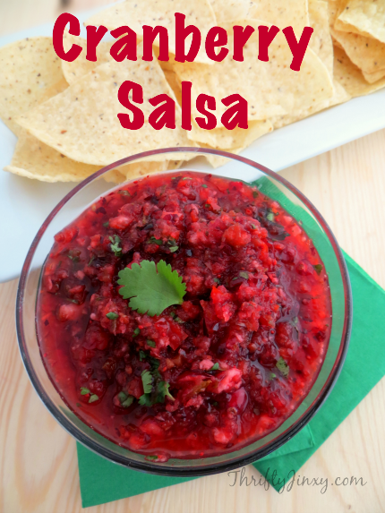 Cranberry Salsa Recipe from Thrifty Jinxy
