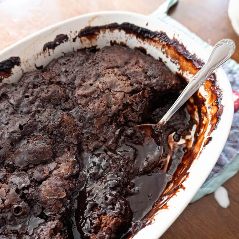 Hot Fudge Chocolate Pudding Cake